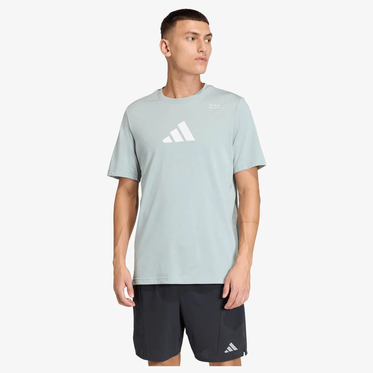 ADIDAS T-Shirt M TR CAT G T 