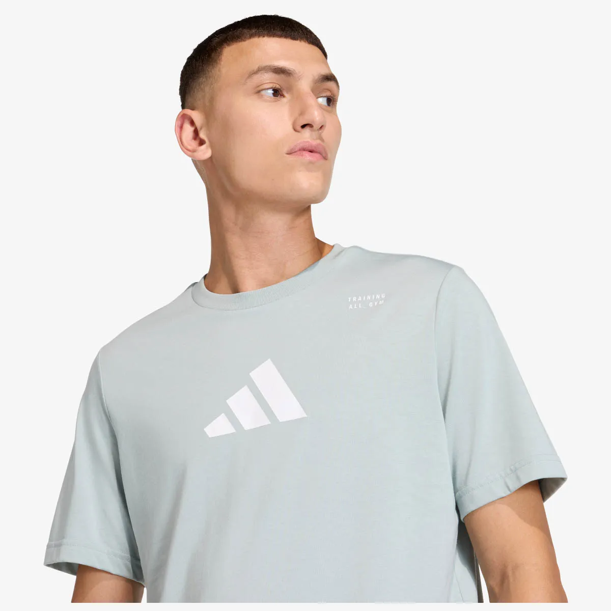 ADIDAS T-Shirt M TR CAT G T 