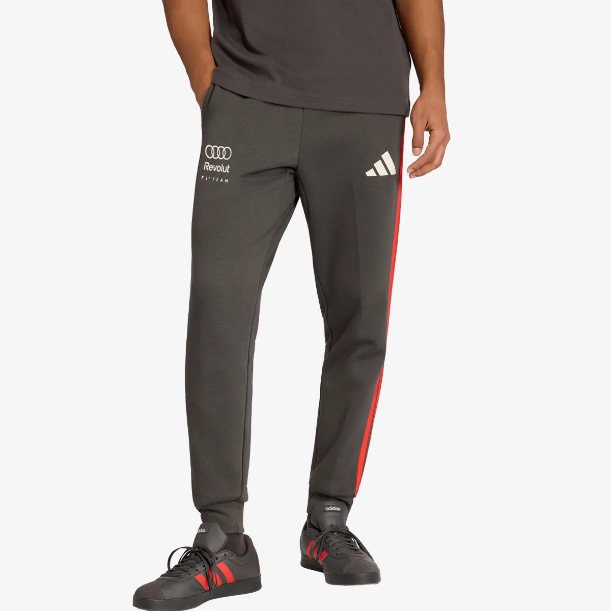 ADIDAS Hlače AU DNA PNT M 