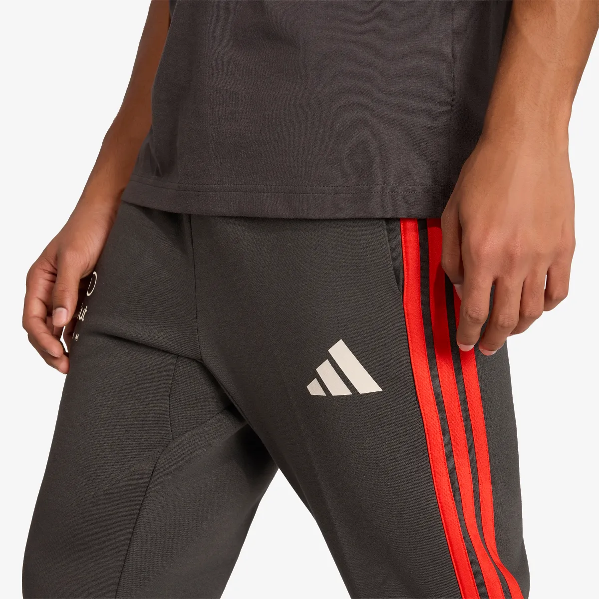 ADIDAS Hlače AU DNA PNT M