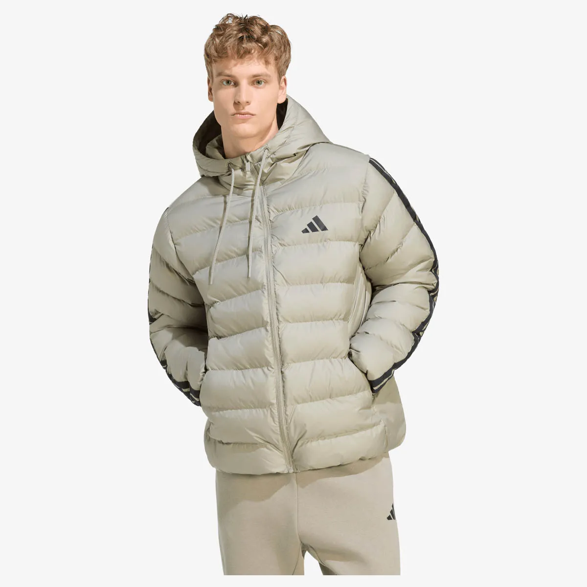 adidas Jakna ESS 3S SD HD JK