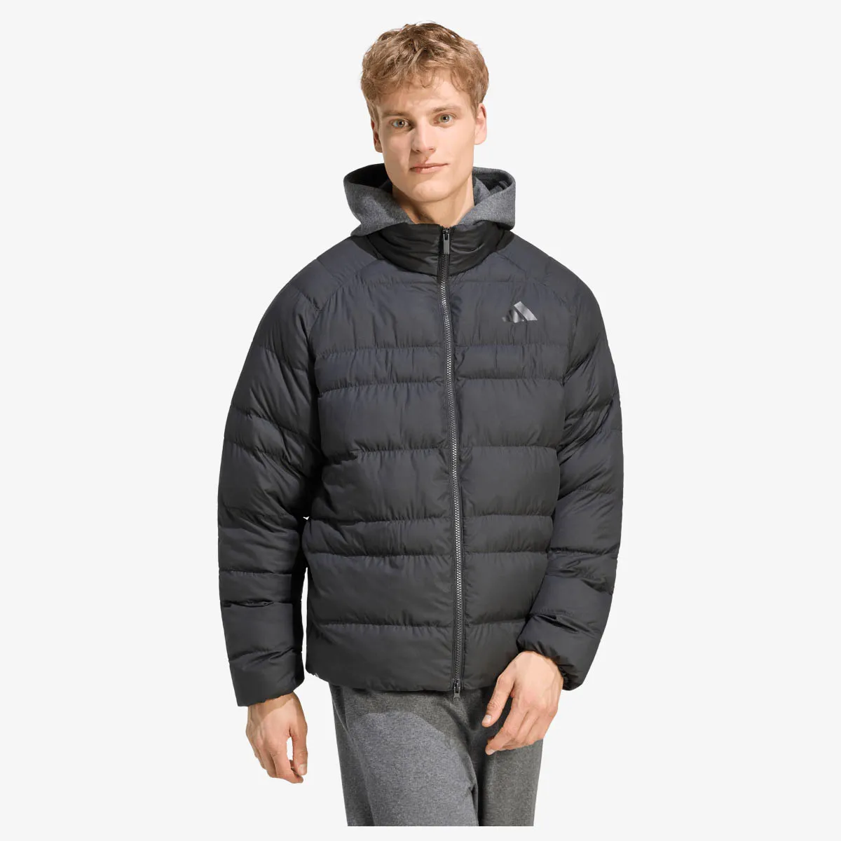 adidas Jakna M ESS SD LT P J 