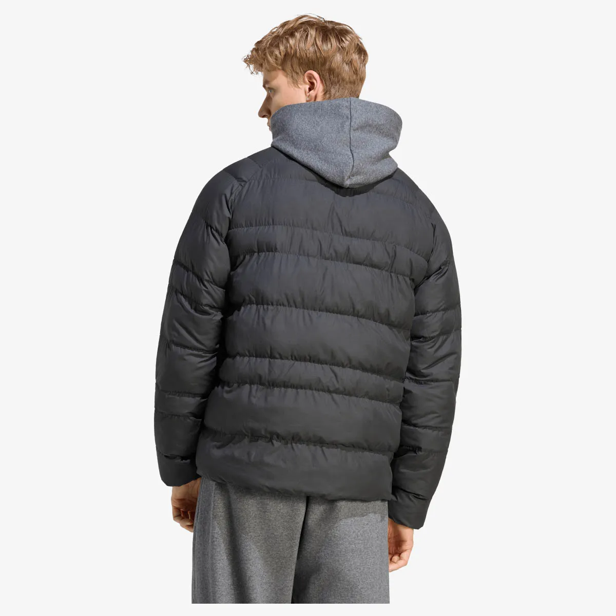 adidas Jakna M ESS SD LT P J 