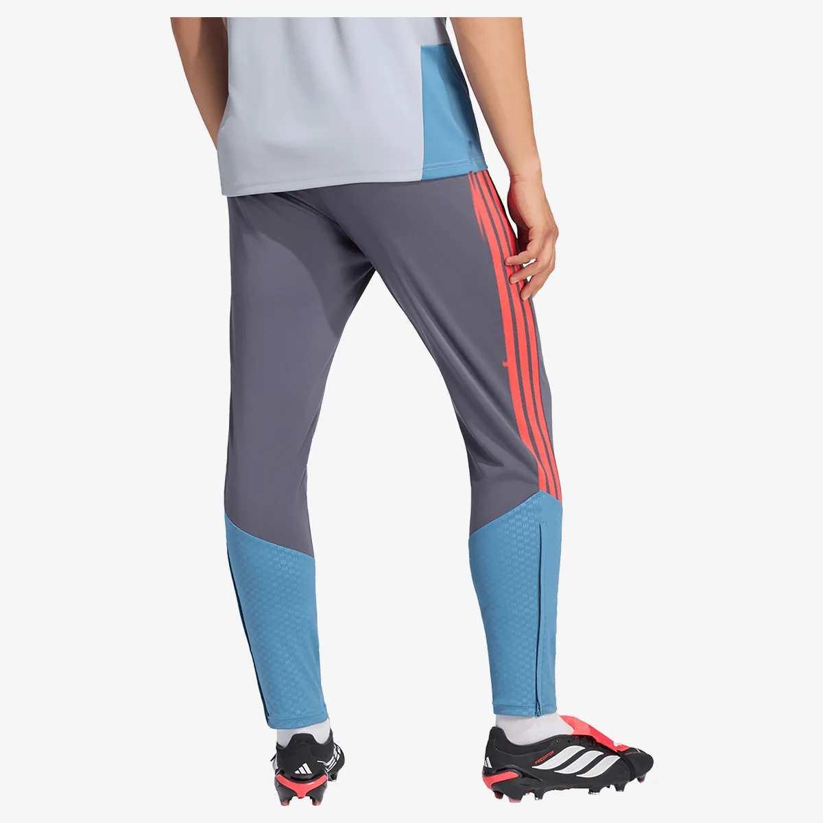 adidas Hlače HNS TR PNT 