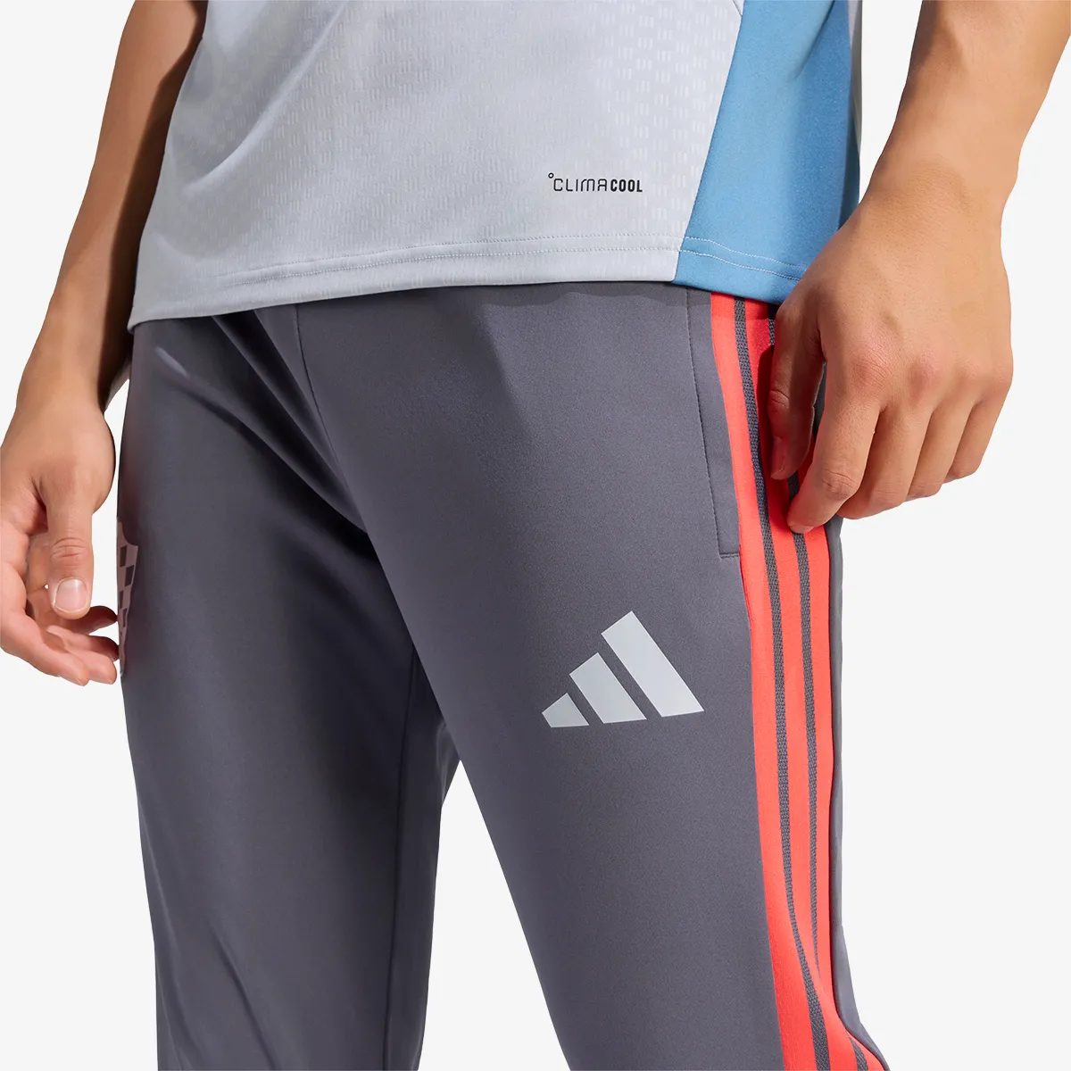 adidas Hlače HNS TR PNT 