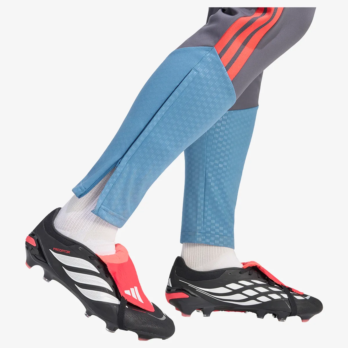 adidas Hlače HNS TR PNT 