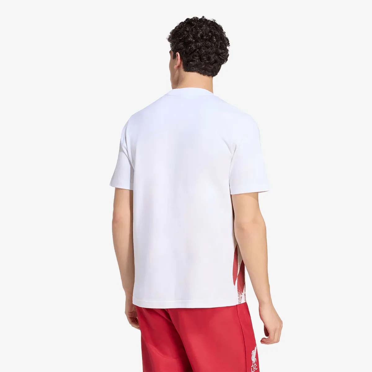 ADIDAS T-Shirt LFC ST GR TE