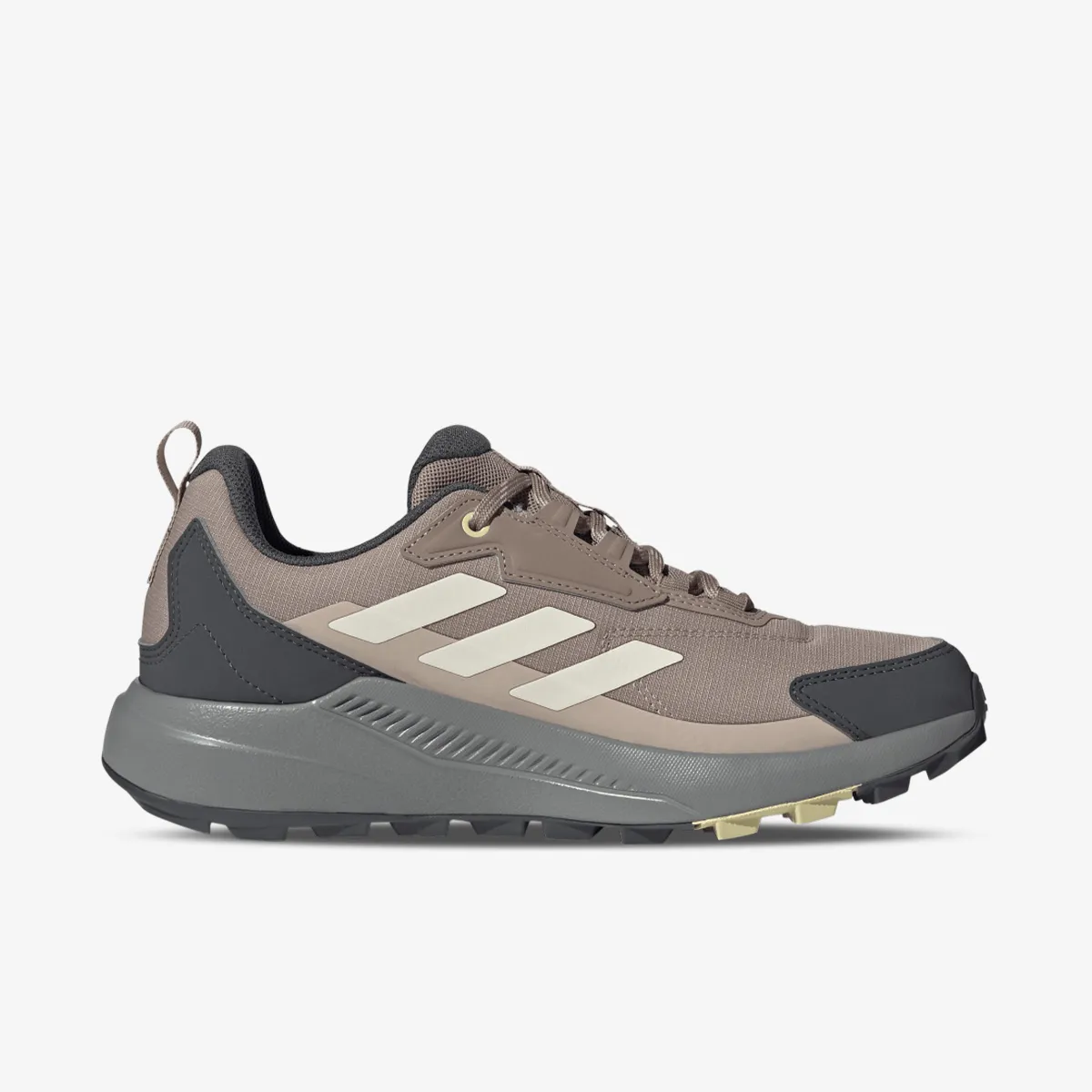 adidas Tenisice TERREX ANYLANDER R.RDY W