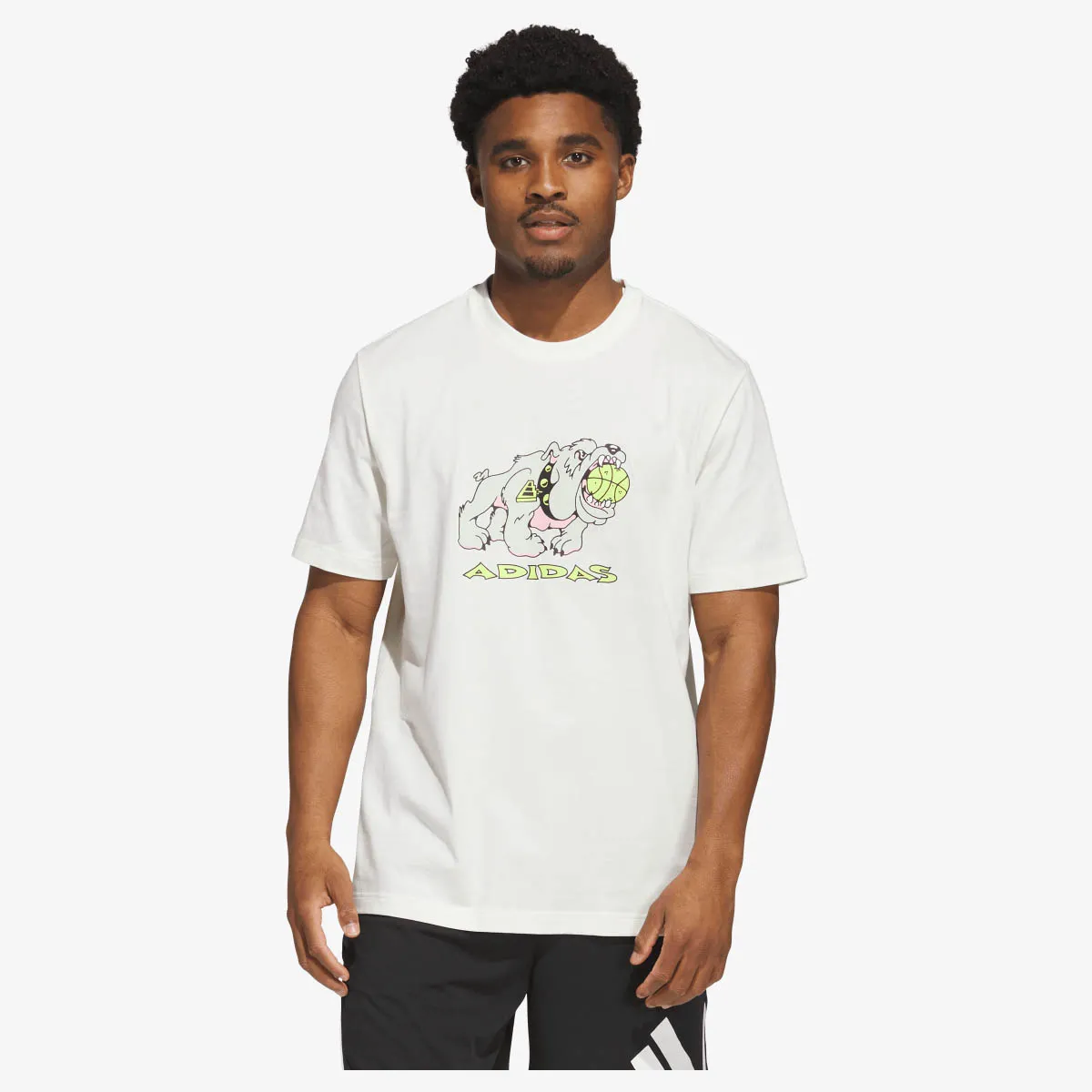 ADIDAS T-Shirt DAWG IN EM T