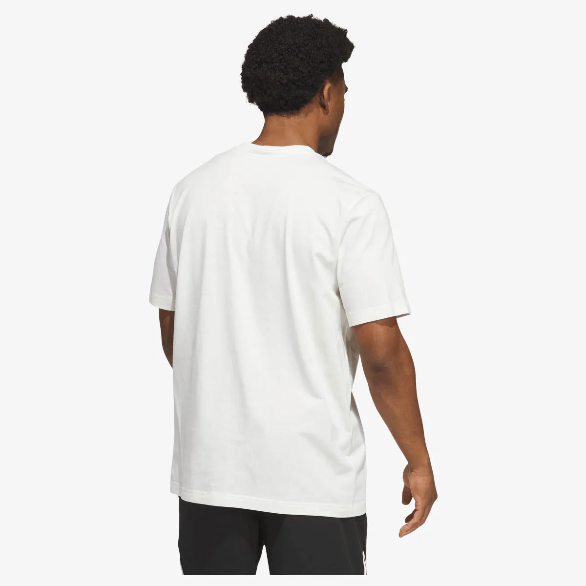 ADIDAS T-Shirt DAWG IN EM T