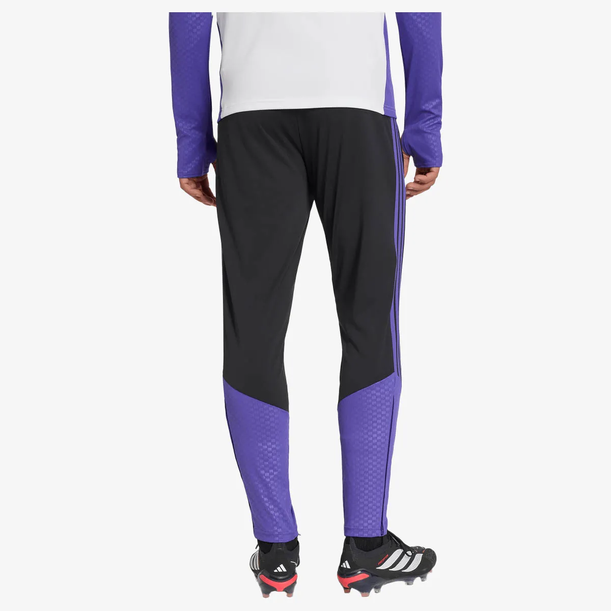 adidas Hlače TIRO26C PNT