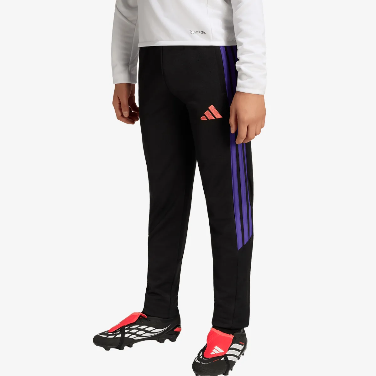ADIDAS Hlače TIRO26L TRPTYS