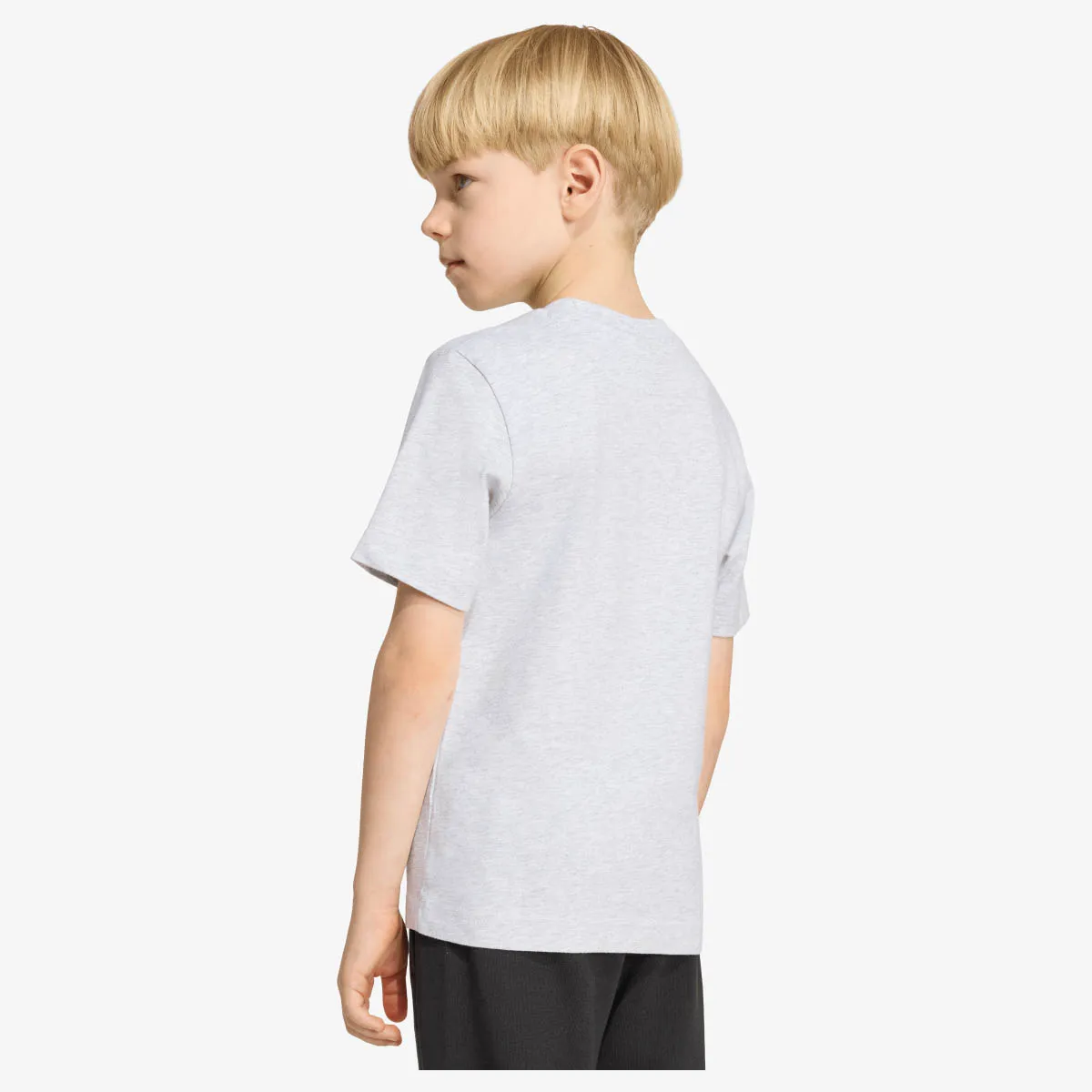 ADIDAS T-Shirt LK MC TEE 
