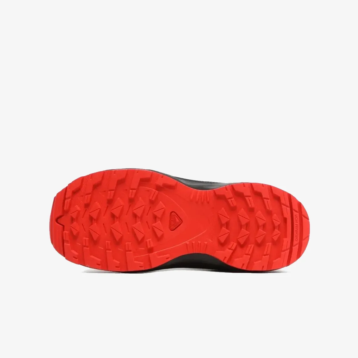 SALOMON Tenisice XA PRO V8 J