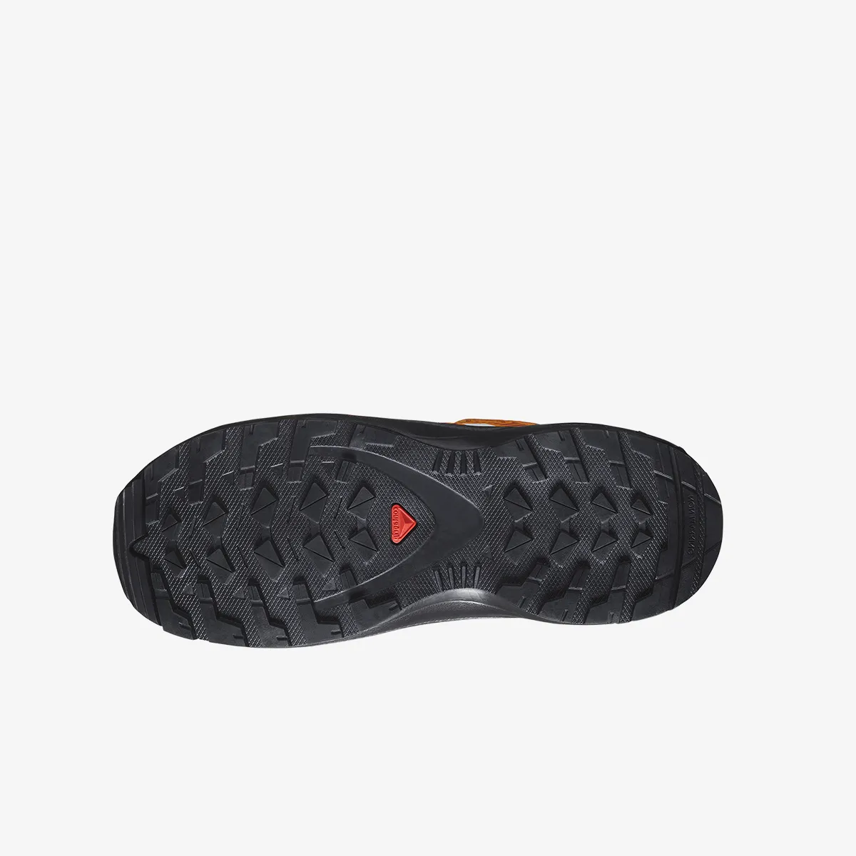 SALOMON Tenisice XA PRO V8 CSWP J 
