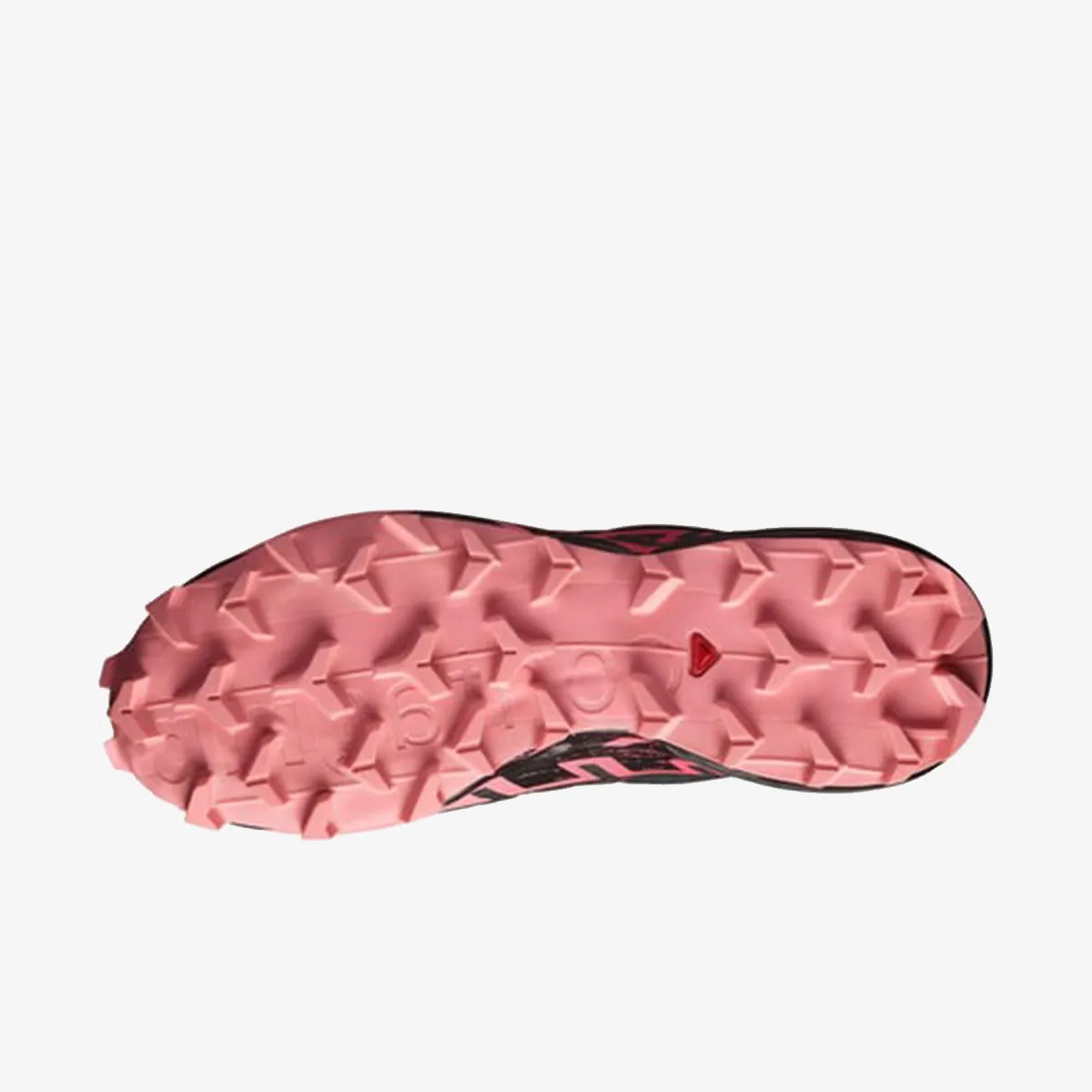 SALOMON Tenisice SPEEDCROSS 6 GTX W Ni