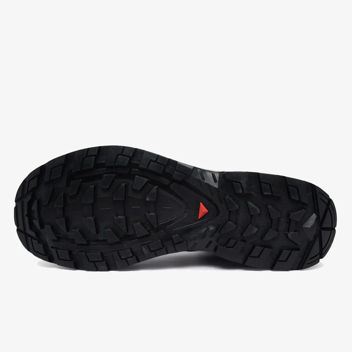 SALOMON Čizme QUEST ECHO GTX M Asph 