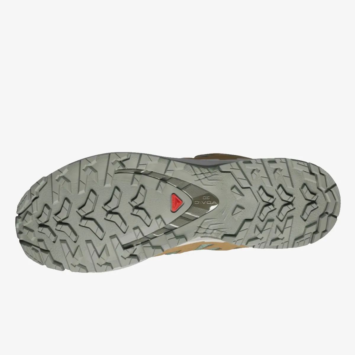 SALOMON Tenisice XA PRO 3D V9 GTX Sedo