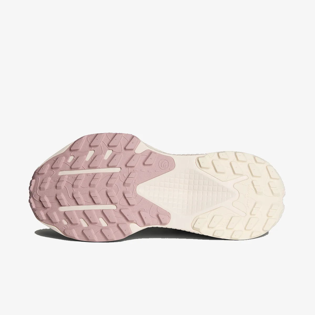 THE NORTH FACE Tenisice Women’s Altamesa 500 