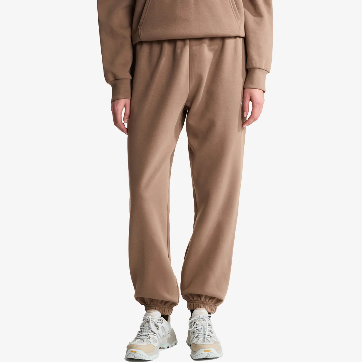 THE NORTH FACE Hlače W EVOLUTION SIMPLE DOME REGULAR PANT 