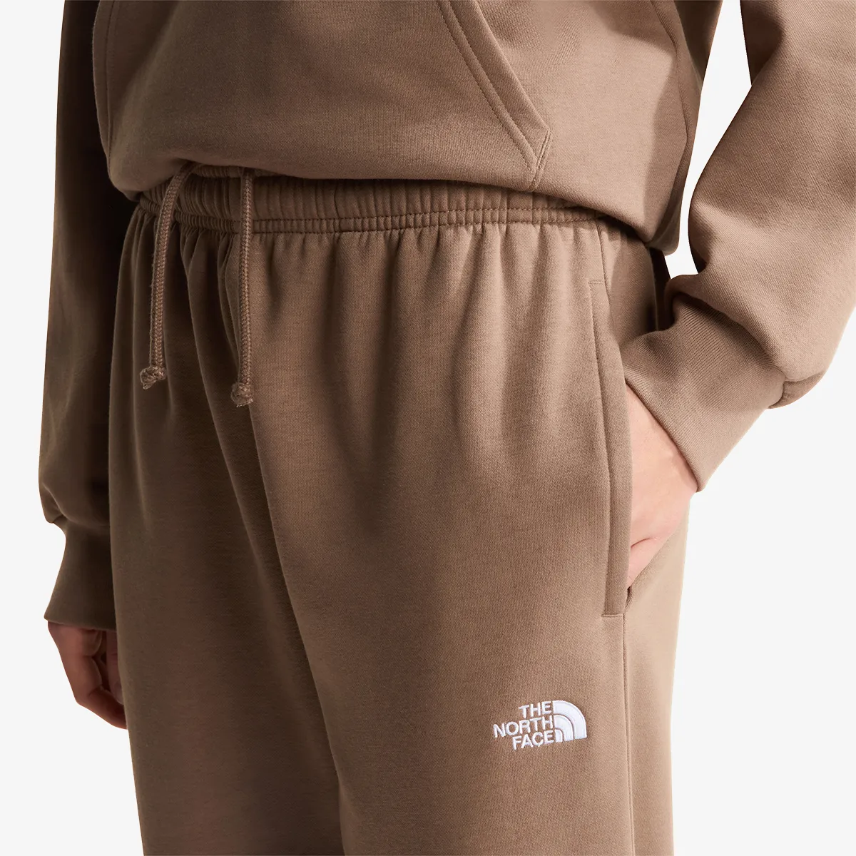 THE NORTH FACE Hlače W EVOLUTION SIMPLE DOME REGULAR PANT 