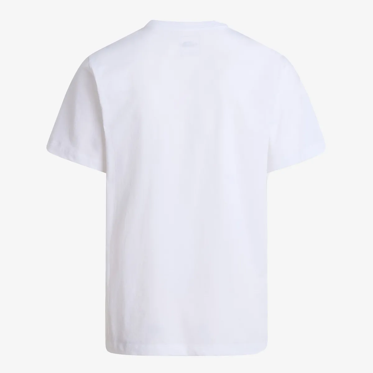 THE NORTH FACE T-Shirt EVOLUTION SIMPLE DOME REGULAR SHORT SL 