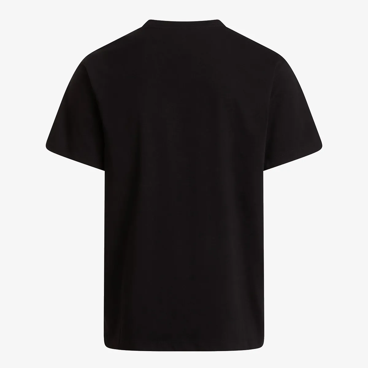 THE NORTH FACE T-Shirt EVOLUTION SIMPLE DOME REGULAR SHORT SL 