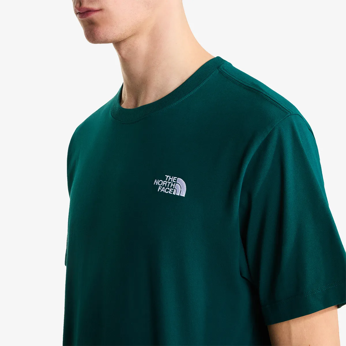 THE NORTH FACE T-Shirt M EVOLUTION SIMPLE DOME REGULAR SHORT SL 