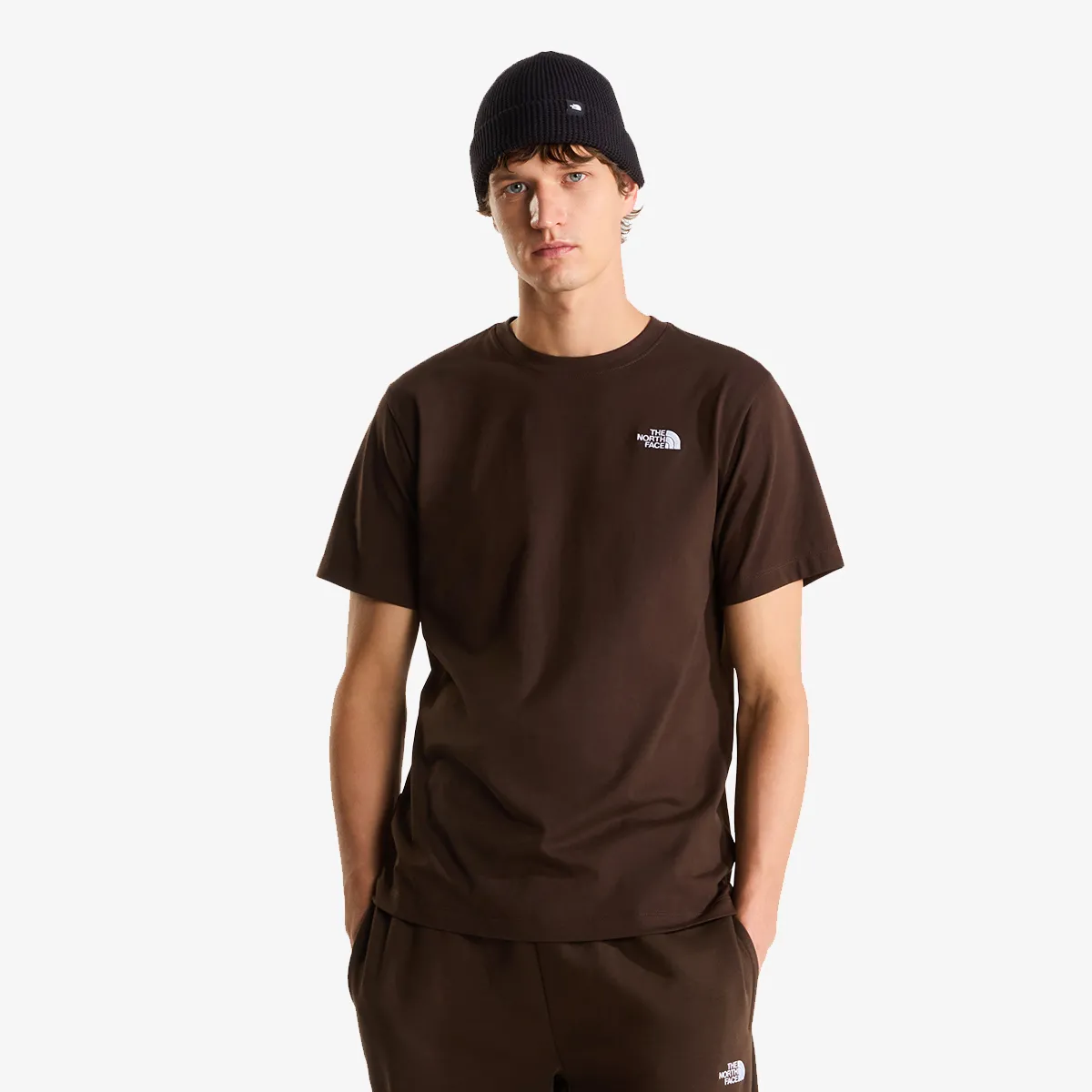 THE NORTH FACE T-Shirt M EVOLUTION SIMPLE DOME REGULAR SHORT SL 
