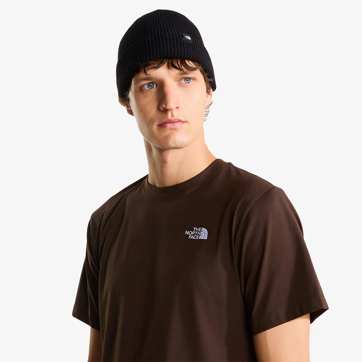 THE NORTH FACE T-Shirt M EVOLUTION SIMPLE DOME REGULAR SHORT SL 