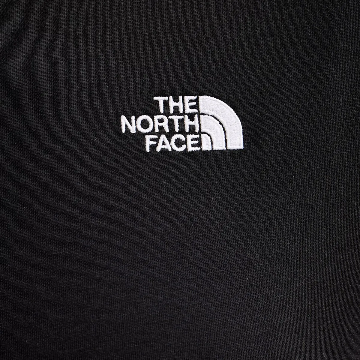 THE NORTH FACE T-Shirt EVOLUTION SIMPLE DOME CROP RLX SS TEE