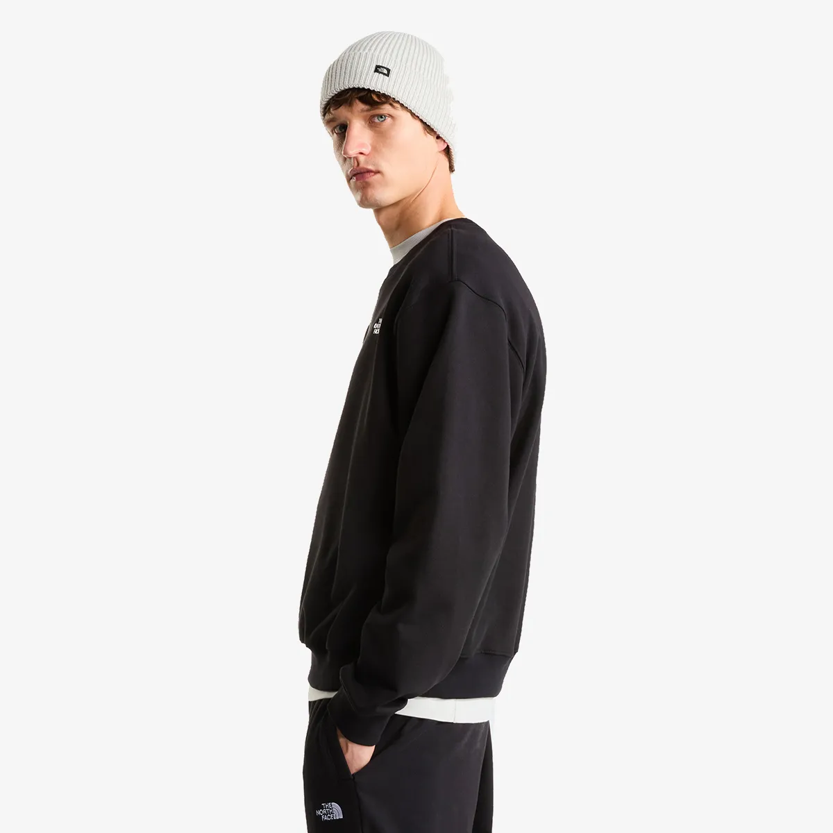 THE NORTH FACE Majica s kapuljačom M TNF ESSENTIAL TERRY SIMPLE DOME RELAXE 
