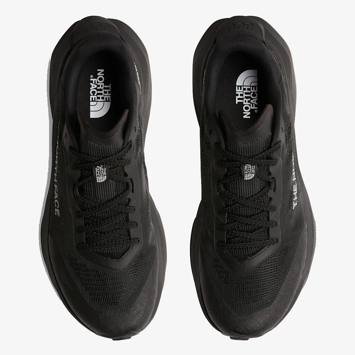 THE NORTH FACE Tenisice ALTAMESA 300 V2 