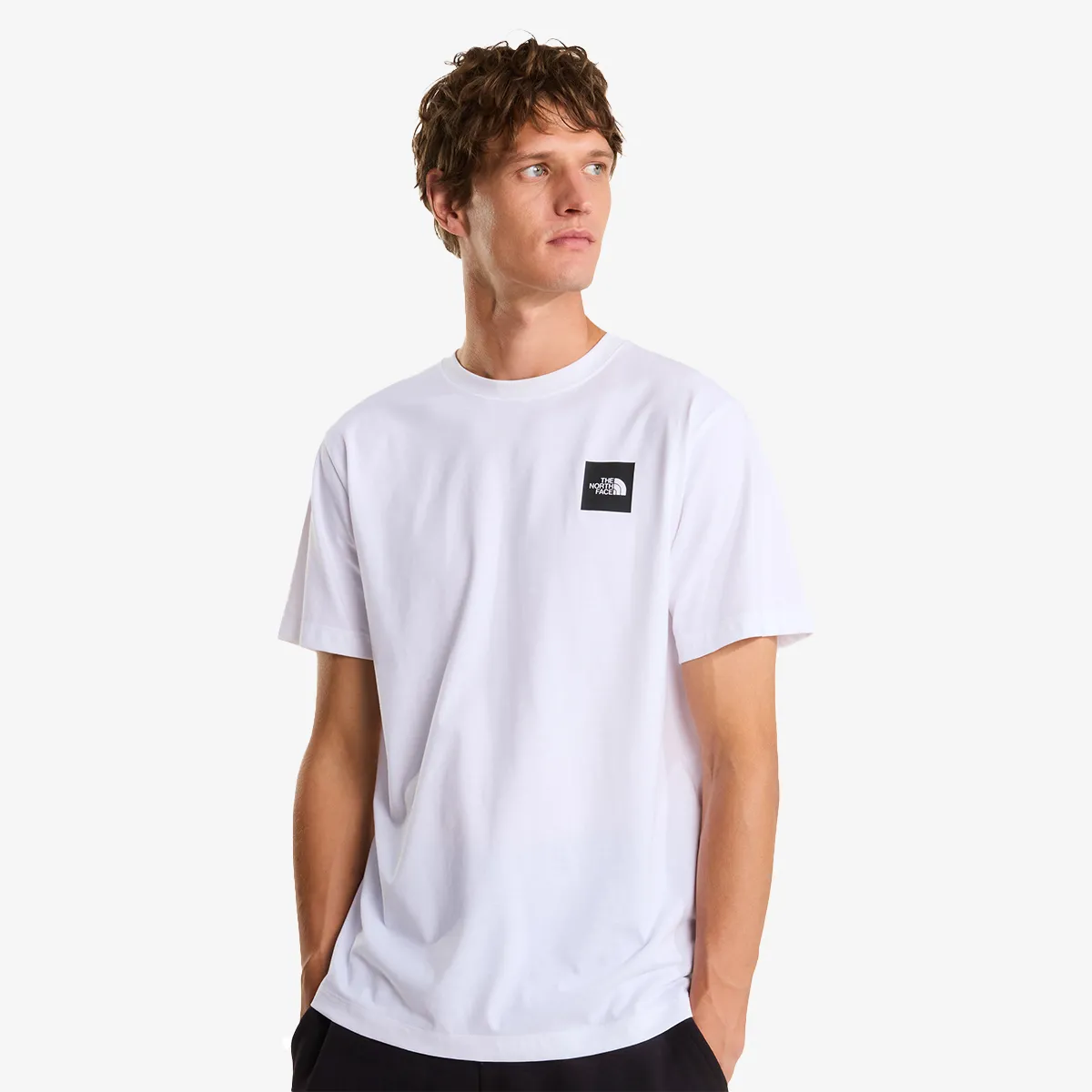 THE NORTH FACE T-Shirt EVOLUTION BOX HALF DOME REGULAR SHORT