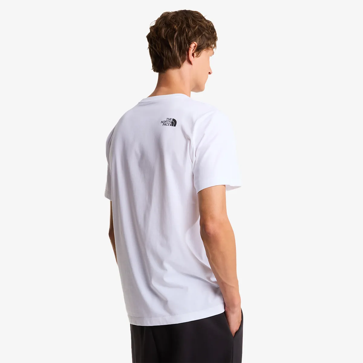 THE NORTH FACE T-Shirt EVOLUTION BOX HALF DOME REGULAR SHORT