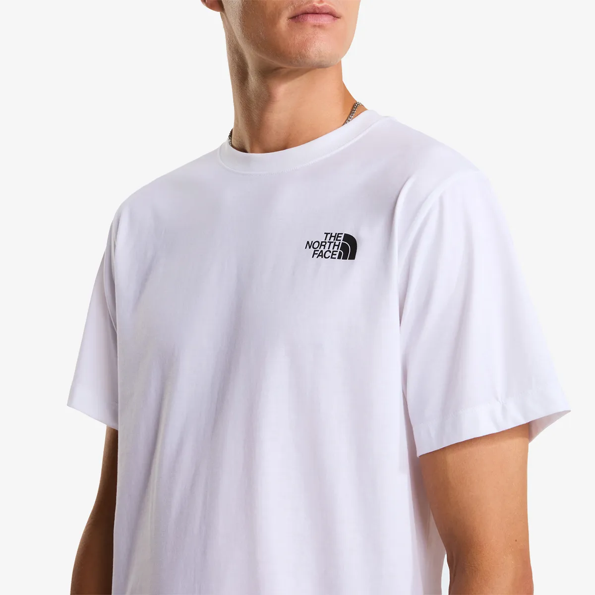 THE NORTH FACE T-Shirt BOX NSE CELEBRATION REG SS TEE 