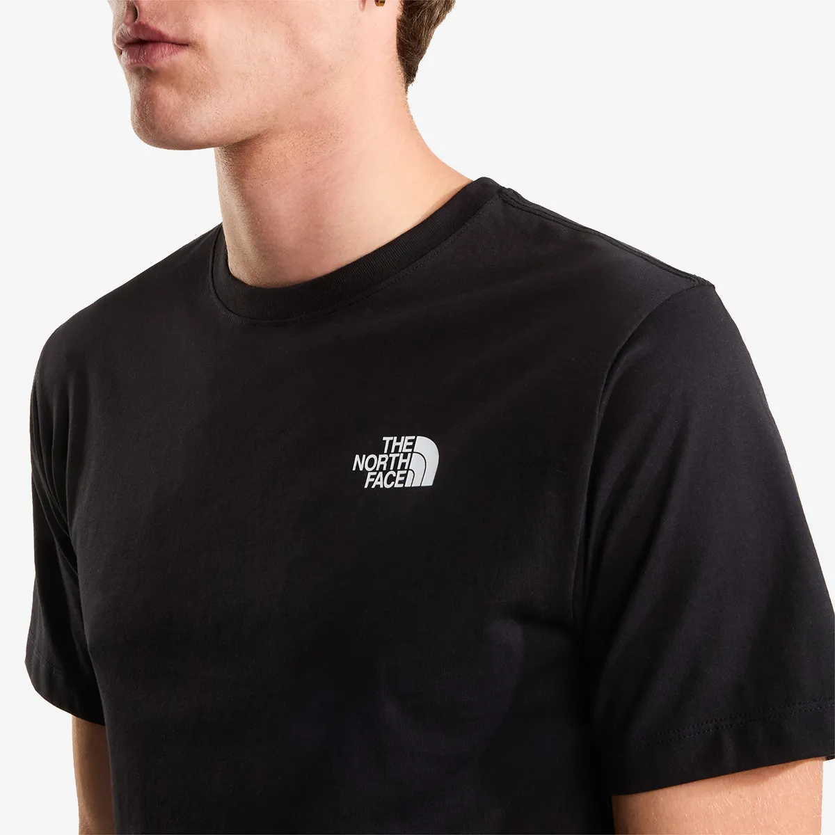 THE NORTH FACE T-Shirt BOX NSE CELEBRATION REG SS TEE 