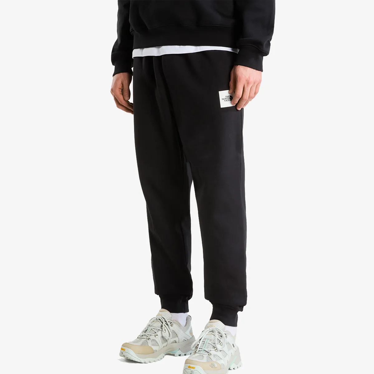 THE NORTH FACE Hlače M EVO BOX HALF DOME REGULAR TAPERED JOGG 