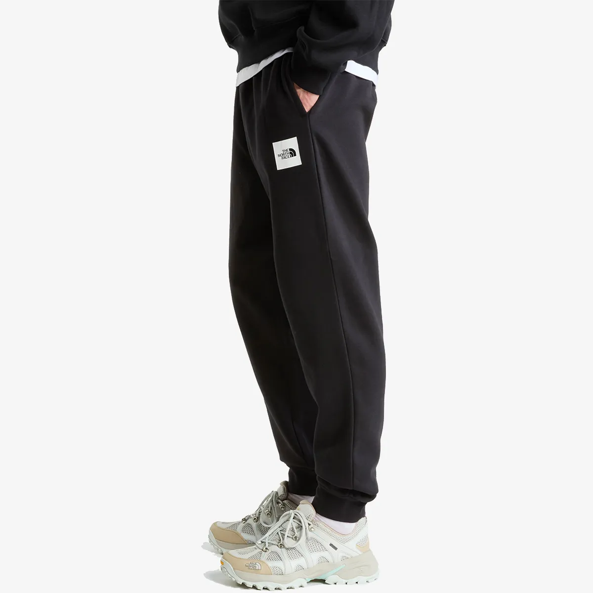 THE NORTH FACE Hlače M EVO BOX HALF DOME REGULAR TAPERED JOGG 