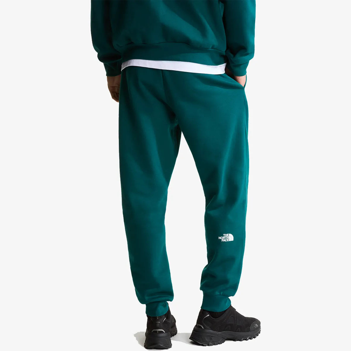 THE NORTH FACE Hlače M EVO BOX HALF DOME REGULAR TAPERED JOGG