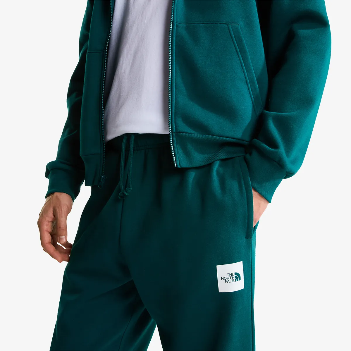 THE NORTH FACE Hlače M EVO BOX HALF DOME REGULAR TAPERED JOGG