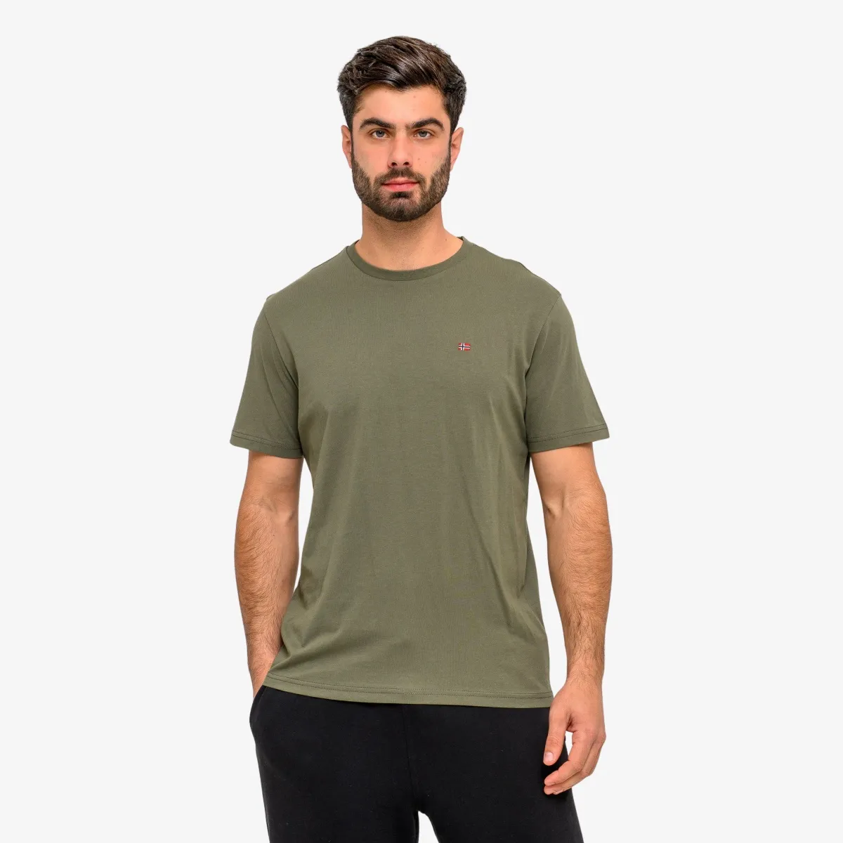 NAPAPIJRI T-Shirt SALIS SS SUM 