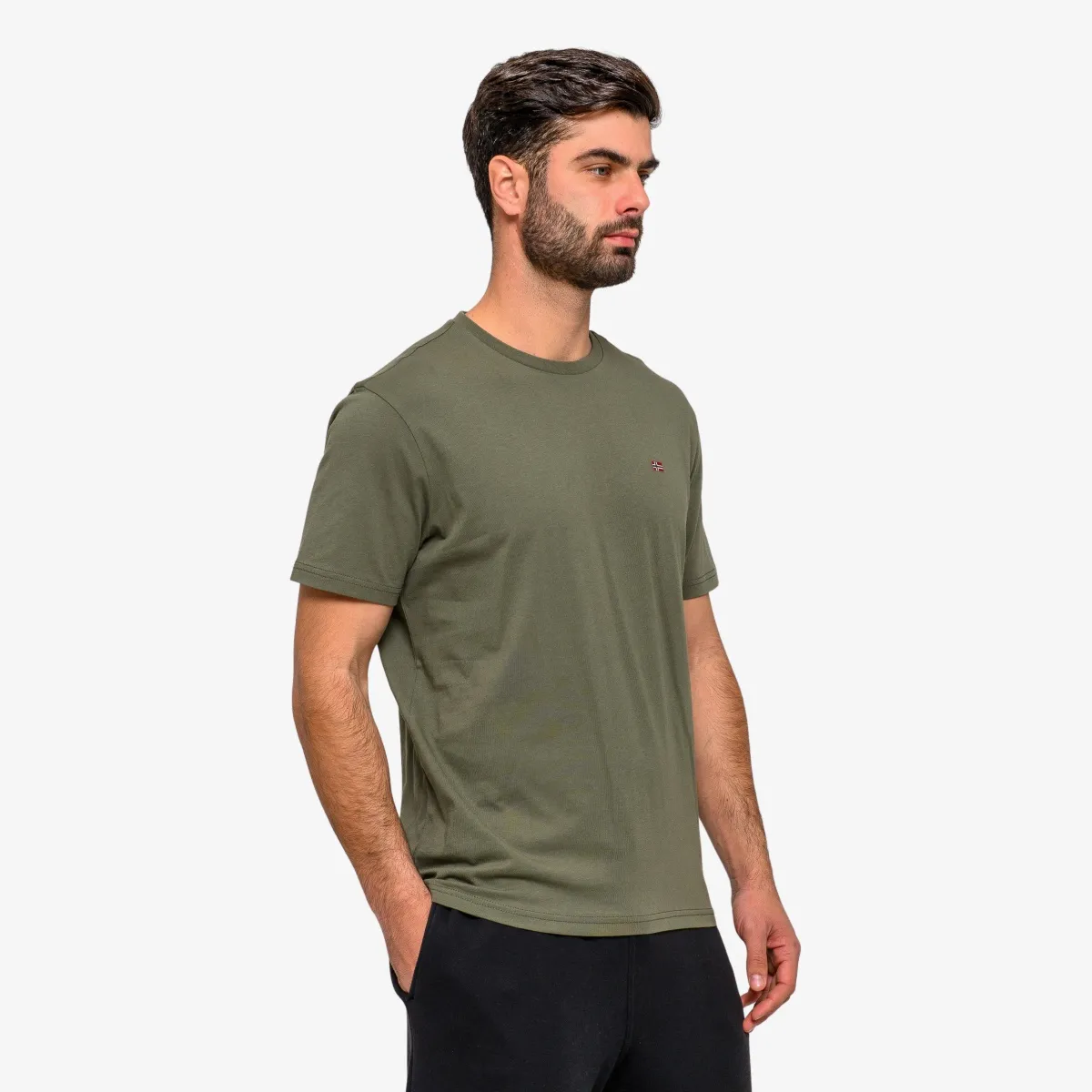 NAPAPIJRI T-Shirt SALIS SS SUM 
