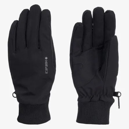 Rukavice ICEPEAK HARTWELL 