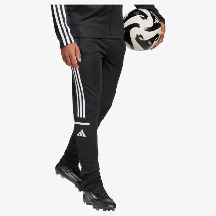 adidas Hlače SQ25 TR PNT Y 