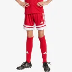 adidas Kratke hlače SQUA25 SHO Y 