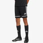 adidas Kratke hlače SQUA25 SHO Y 