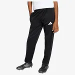 adidas Hlače ENT26 TR PNT Y