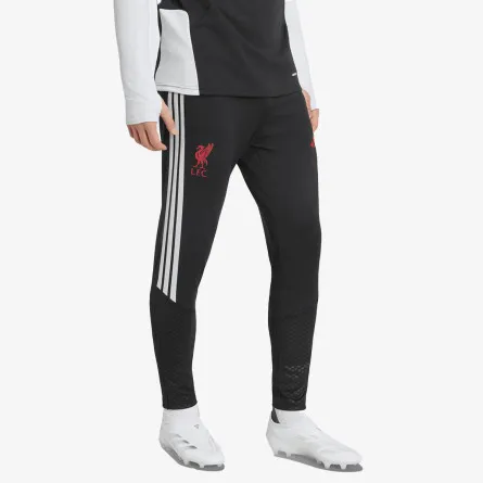 adidas Hlače LFC TR PNT