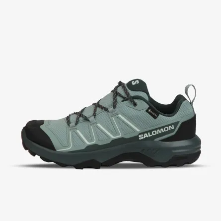 SALOMON Tenisice EXEO 2 GTX W 
